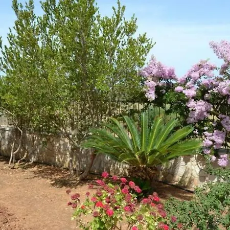 Apartamento Lido Pizzo - Cod 200